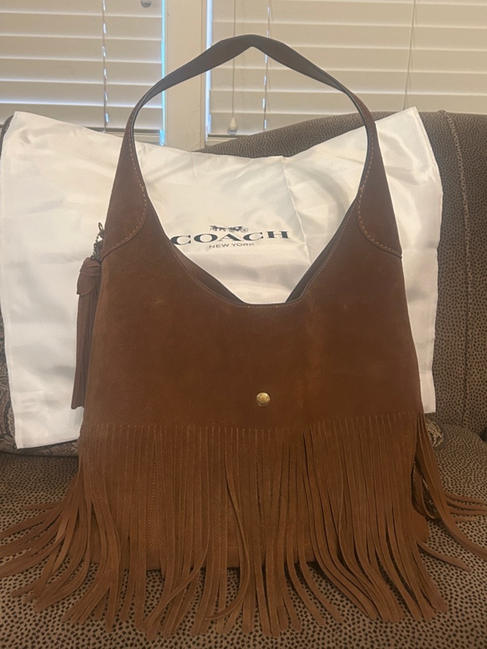 Coach Brooklyn Suede Fringe Shoulder Bag